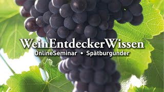 🍇 Spätburgunder – WeinEntdeckerWissen OnlineSeminar 🍇 [upl. by Meikah3]