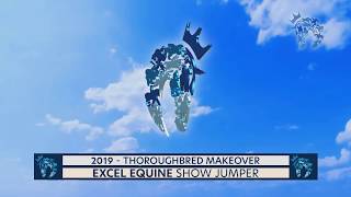 2019 Thoroughbred Makeover Finale Show Jumping [upl. by Ogata]