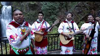 Huichol Musical  Mañana Que Ya No Estes Video Oficial [upl. by Roxanna]