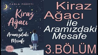 Kiraz Ağacı ile Aramızdaki Mesafe  3 Seslendirme Bölümü [upl. by Roe458]