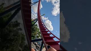 TERRIFYING Dive Coaster at Busch Gardens Tampa [upl. by Josephina]