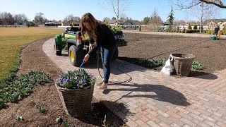 Planting Spring Containers amp Hellebores 🌿💚🌿  Garden Answer [upl. by Tezzil807]