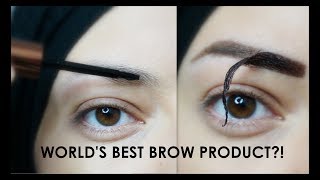 TESTING TATTOO BROWS  Eyebrow Makeup Tutorial [upl. by Varien]