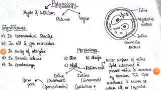 Palynology  Pollen Grain Morphology Significance interaction  BSC final year Botany Paper 1 [upl. by Ahsyek]