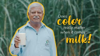 Does color really matter when it comes to the purity of milk  Akshayakalpa organic [upl. by Earehs]