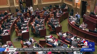 Utah Senate passes bill that would roll back DEI in state institutions [upl. by Paige728]