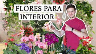 TOP 8 plantas de interior con flor [upl. by Irrej]