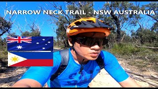 Narrow Neck Trail  NSW Australia MTB Ride [upl. by Gwenora]