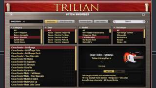 spectrasonics trilian bass module overview [upl. by Acirtap]