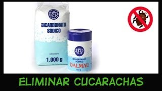 Eliminar Cucarachas con Bicarbonato Muy Eficaz Sin TOXICOS [upl. by Nitas710]