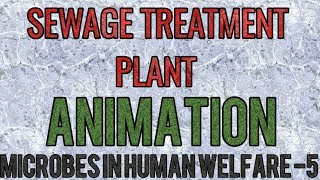 Sewage waste water treatment plant ANIMATION SIMPLIFIED for NEET and AIIMS [upl. by Nnylsor]