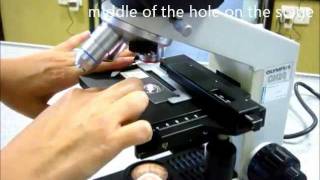 Microscopy Practical 1 Demonstration Video [upl. by Champagne]