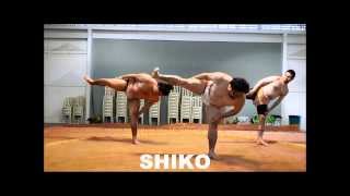 Treinando Sumo Parte 2 Shiko [upl. by Kissel]