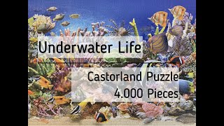 Doing the 4000 Pieces Jigsaw Puzzle quotUnderwater Lifequot by Castorland a Time Lapse Video [upl. by Berwick]