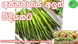 ✔️අස්පරාගස් අලුත් විදියකට How to cook Asparagus Cuoco Con Amma  sinhala  Episode 34 [upl. by Nomrej]