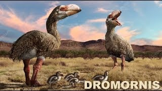 MONSTRUOS PREHISTORICOS DROMORNIS 2DA TEMPORADA [upl. by Nirol537]