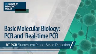 Basic Molecular Biology PCR and RealTime PCR – RTPCR Fluorescent ProbeBased Detection [upl. by Bourgeois975]