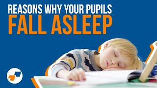 Why Do Your Pupils Keep Falling Asleep in Class Answers and Tips for Teachers [upl. by Scherle]