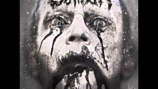 SONNE Rammstein Cover  Caliban [upl. by Aytac]