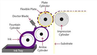 Flexographic Printing Explained [upl. by Catrina]