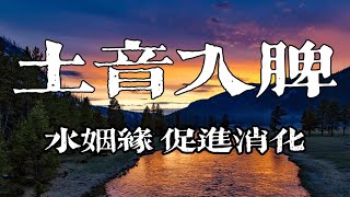 土音入脾，缓解焦虑，安稳心理，促进消化，可以一边吃饭一边听哦《水姻缘》古筝演奏 [upl. by Colfin]