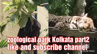 Enjoy Kolkata zoopark part 2 navlogs37 like and subscribe channel [upl. by Vitoria]