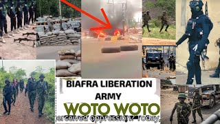 Latest Update The Biafra Defence Forces Are Doing Us Proud Another WOTOWOTO Victory Recorded… [upl. by Kcirdes89]