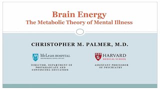 Dr Chris Palmer presentation Brain Energy The metabolic Theory of Mental Illness [upl. by Baxy]