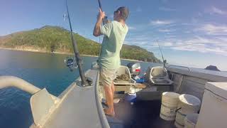 Mackay Cockermouth IslandShallow water reef fishing [upl. by Emiolhs]