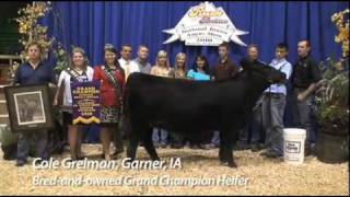 National Junior Angus Show 2010  Bred amp Owned Champions  Sure Champ [upl. by Zat]