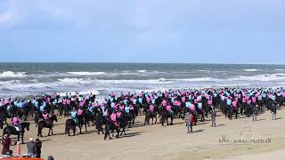 Mega strandrit met Friese paarden 2023 [upl. by Fujio]