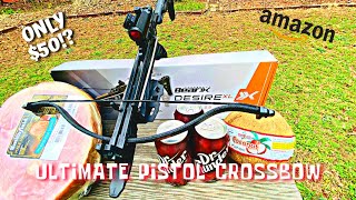 How Powerful Is a Pistol Crossbow  Bear Archery Desire XL  REVIEW [upl. by Ahsinirt]