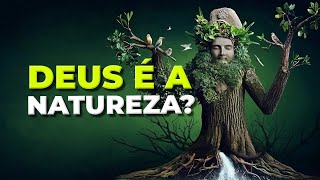 ALGUMAS PALAVRAS SOBRE O PANTEÍSMO  SCHOPENHAUER [upl. by Arenahs291]