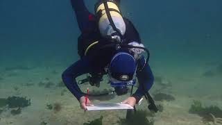 Marine biology student training scientific diving [upl. by Ojibbob830]