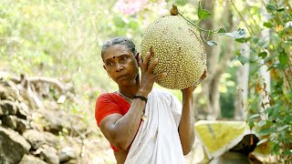 Kerala Traditional Style Jackfruit Recipe [upl. by Dracir]