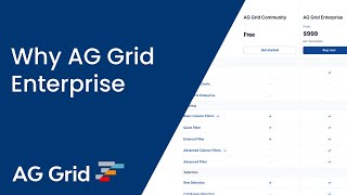 Why AG Grid Enterprise [upl. by Higgs]