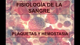 FISIOLOGÍA DE LA SANGRE PLAQUETAS Y HEMOSTASIA [upl. by Eirolav]