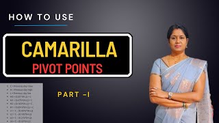 Camarilla Pivot Points for Beginners  Part  I   NIFTY amp BANKNIFTY [upl. by Nemrac]