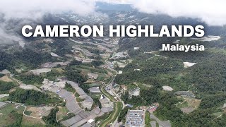 Lets Explore Cameron Highlands Malaysia [upl. by Aciretal]