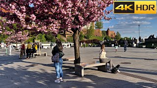 🇵🇱 Poland Spring Walk  Krakow Walking Tour  European Bloom 🌸 4K HDR [upl. by Nnylcaj]