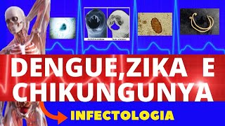 ZIKA DENGUE E CHIKUNGUNYA  CAUSAS SINTOMAS DIAGNÓSTICO E TRATAMENTO  INFECTOLOGIA [upl. by Nitsed]