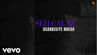 Seh Calaz  Usandisiye Ndega Official Audio [upl. by Niwrek643]