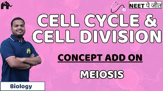 Cell Cycle and Cell Division Class 11 Biology NEET  Meiosis [upl. by Ettore]