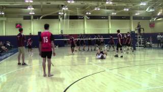 Aldridge Vs Browns Plains Volleyball Highlights [upl. by Circosta147]