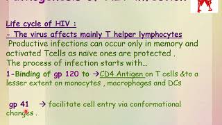 Immunopathology HIV [upl. by Atinus]