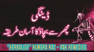 dengue machar marne ka tarika  Pak remedies  Herbalist Humera Naz [upl. by Neelhtac84]