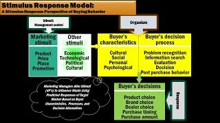 19 Stimulus Response Model by Tracy McGee [upl. by Wills894]