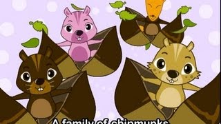 Animal Songs Medley Nursery Rhymes Collection [upl. by Dana921]