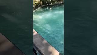 🔴Sorgenti Parco Lavino e Passo Lanciano travel summer shortyoutube beach nature neiperte lake [upl. by Elane]