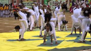 The PSBB Millennium school Sparkle 2014 yoga Demonstration [upl. by Airyt418]